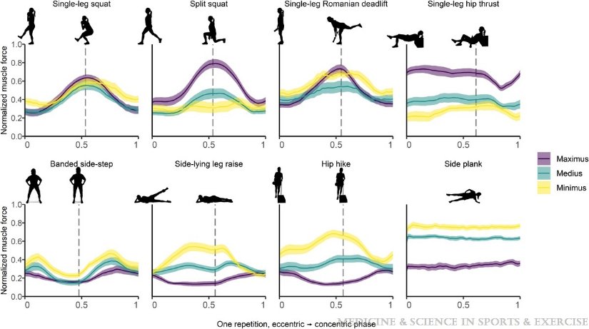 DavidMackeyDPT's tweet image. Gluteal Muscle Forces during #Hip-Focused #Injury Prevention and #Rehabilitation Exercises

journals.lww.com/acsm-msse/full…