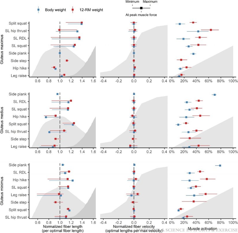 DavidMackeyDPT's tweet image. Gluteal Muscle Forces during #Hip-Focused #Injury Prevention and #Rehabilitation Exercises

journals.lww.com/acsm-msse/full…