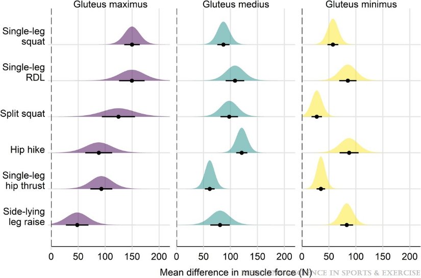 DavidMackeyDPT's tweet image. Gluteal Muscle Forces during #Hip-Focused #Injury Prevention and #Rehabilitation Exercises

journals.lww.com/acsm-msse/full…