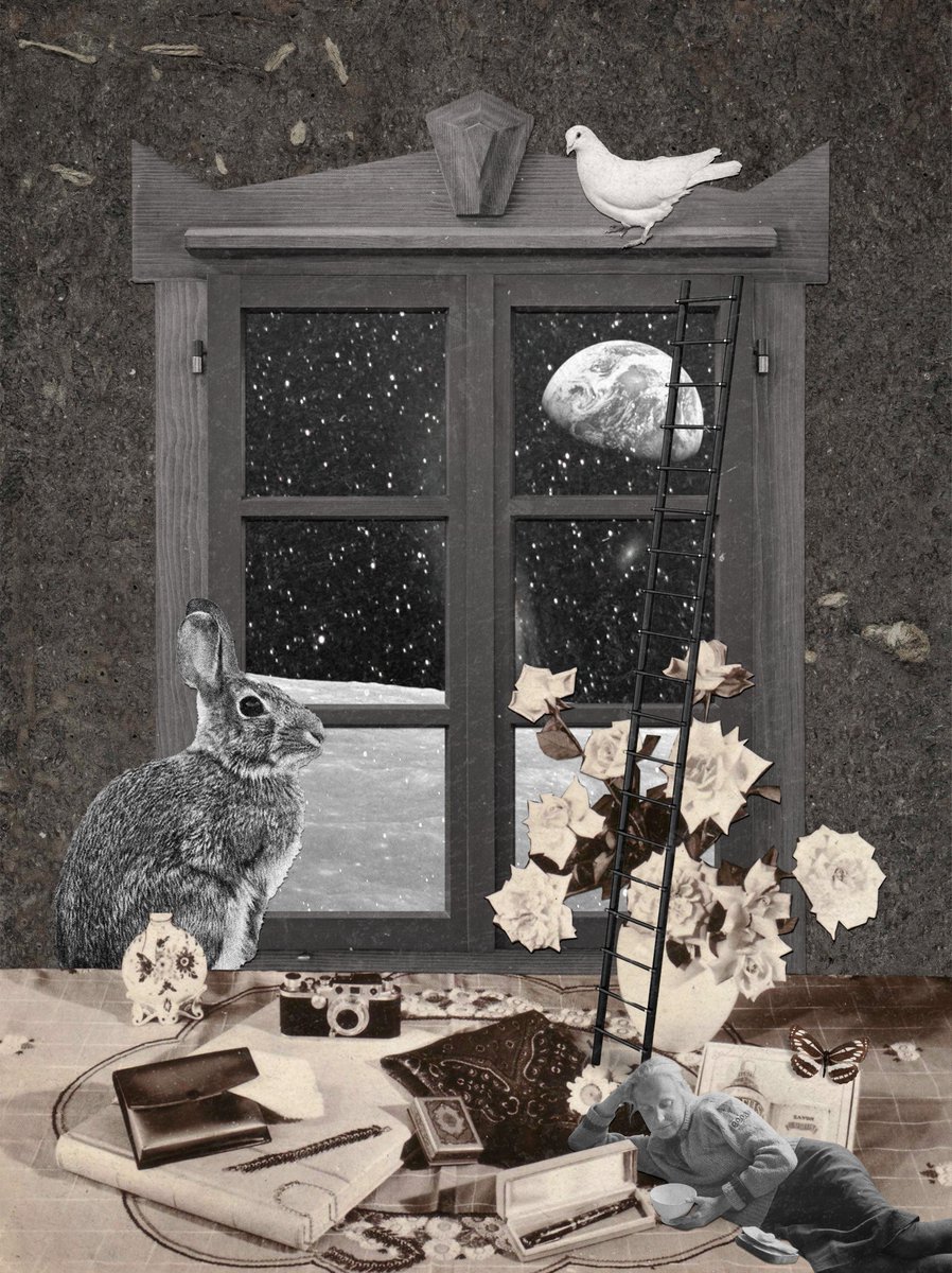 kaho_cw's tweet photo. Day 21-24 of Februllage
-หหโโโโโ
๐ต๐ปOld
๐Vinyl
โ๏ธTapestry
๐๏ธLost
.
.
.
#art #artwork #collageartist
#collagemaker #collagework
#collagedesign #collageartwork
#collagewave #digitalcollage #digitalart https://t.co/NxoMrAJcng