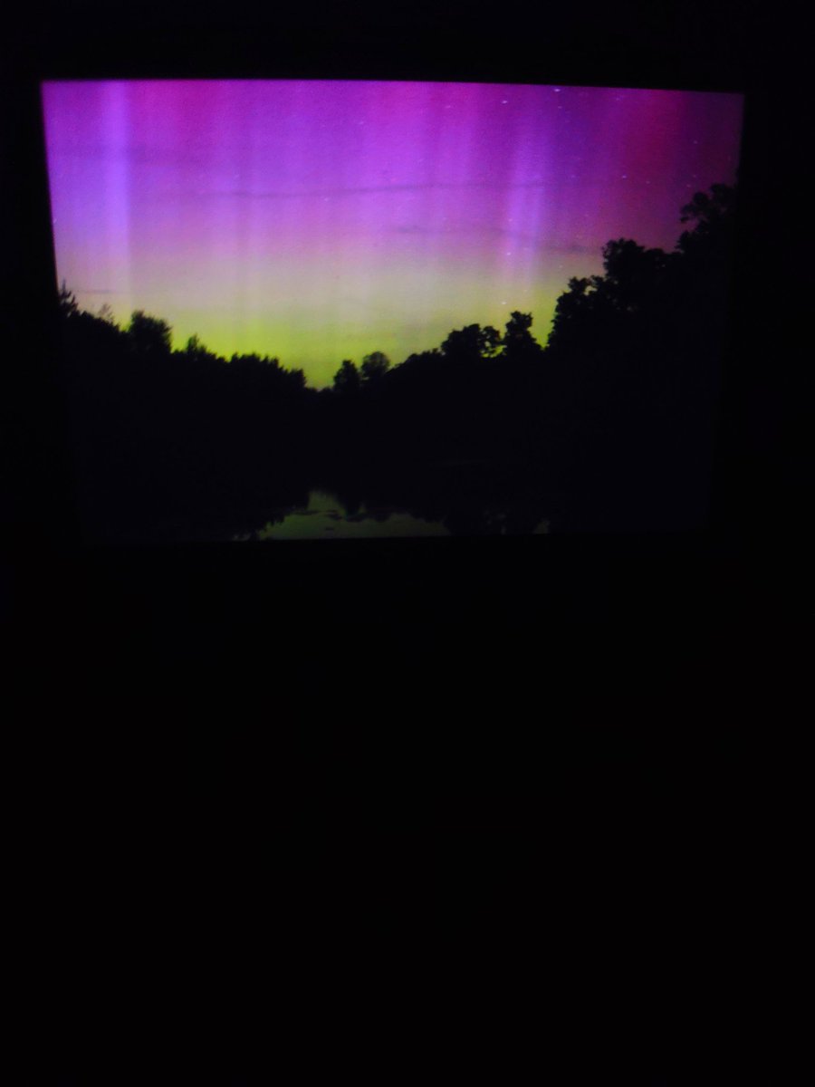 Justin Phillips tweet media