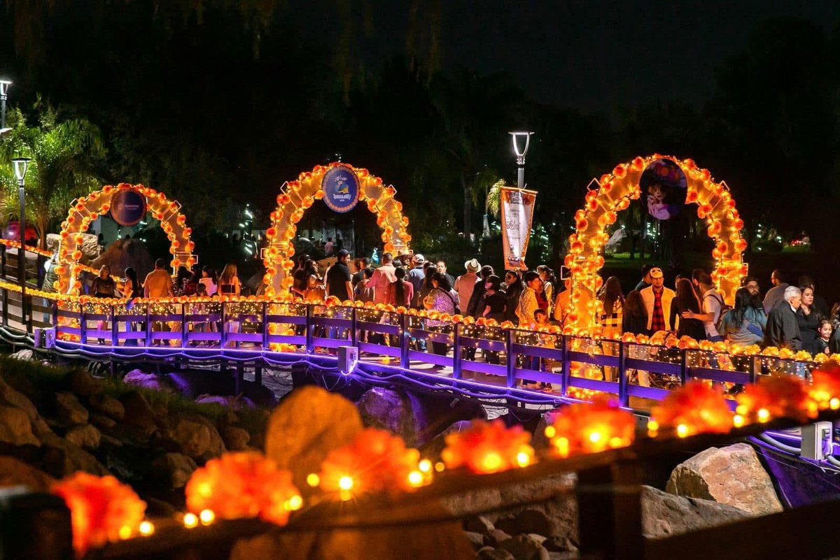 Viva Aguascalientes tweet media