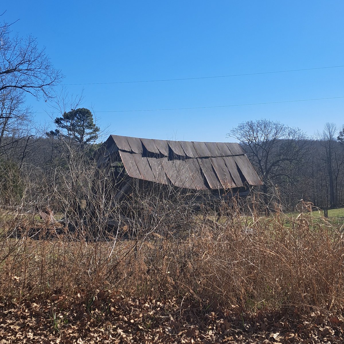 lightbeari62842's tweet image. "Whispers of the past in every creak and crack 🏚️📷  #RusticRelics #AbandonedPlaces #NatureTakesOver