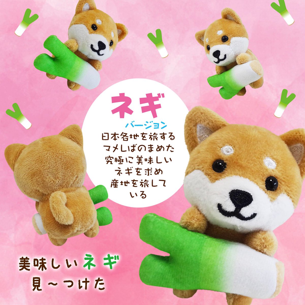 🟢NEW ネギバージョン🟢 ⁡ 美味しそうなネギを持ったまめた🐾 ⁡ まめた