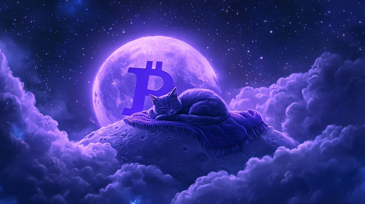 purple_bitcoin_'s tweet photo. Good night, $PBTC family 💜
We rest easy because we’re early.
Let the FUDsters chase pumps.

We’re cooking something they’ll wish they bought at $10 in 5 years. https://t.co/imPOCfXp3p