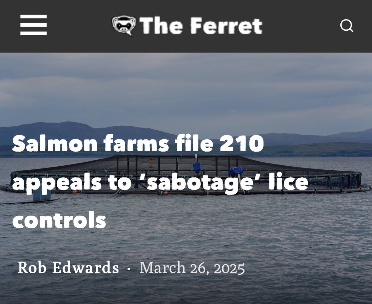 Is the Scottish gov in the pockets of foreign owned companies?
Of course it is.

theferret.scot/salmon-farms-2…