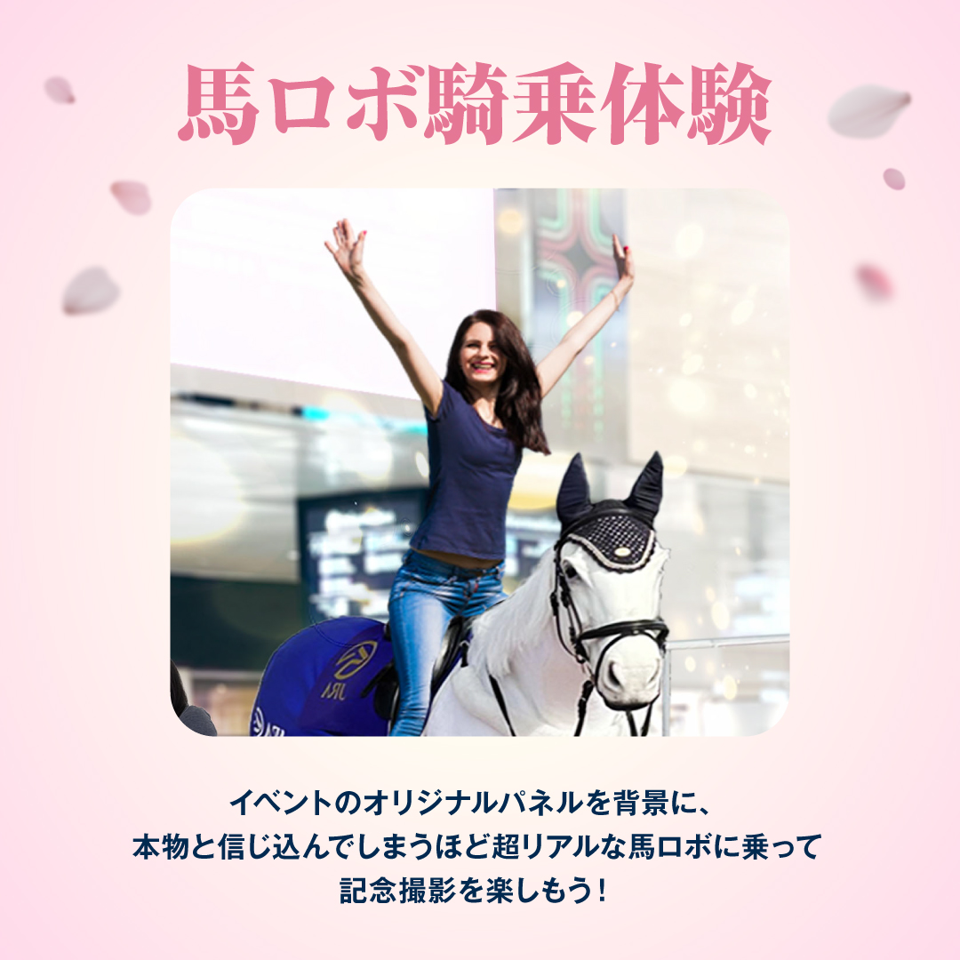 Amazon.co.jp: 限定 UMA CARD PAVILION 阪神競馬場 コンプリート
