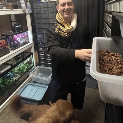 LavelleReptiles's tweet photo. #SnakeKing https://t.co/7EQd9iQIoE