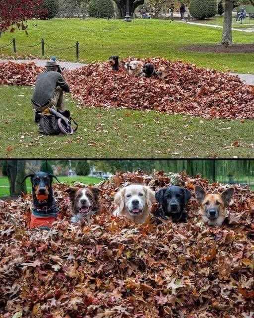 Best thing photography