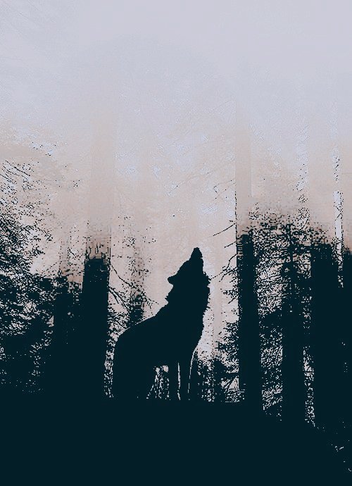 𓏲୭⠀⠀ ⠀ ⠀⠀   𓂃 ִֶָ ִֶָ ִֶָ𓂃⠀ ⠀⠀ ⠀ ⠀ ₓₒₓₒ
 ╰╮#𝓦𝑶𝑴𝑨𝑵𝓒𝑹𝑼𝑺𝑯𝓐𝑳𝑾𝑨𝒀𝑺𑁤᭄
    𔘓 ⠀⠀⠀  𝓢𝒉𝒆  ; ℳ𝑦 𝓜𝒐𝒐𝒏  ꨄ      🌻
⠀ ╰─▸  დ <a href="/ExuberantBeta/">𝐻𝒾𝓈 𝐵𝑒𝓉𝒶 𝒲𝑜𝓁𝒻 ☾ Parody</a>  დ  ╯