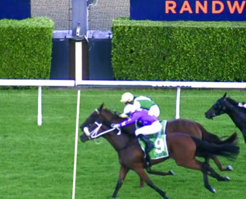 Kim Waugh (@kimwaugh6) on Twitter photo Mogul Monarch ticks off the 1400m query in strong fashion today <a href="/royalrandwick/">Royal Randwick</a> <a href="/aus_turf_club/">Australian Turf Club</a> #kensington leading throughout with <a href="/AnnaRoper_/">Anna Roper</a> aboard 👏
All roads lead to the Midway-Provincial Champs Final on April 12th!
Congrats to his owners & the team at home 👏👏
#cantwait Mogul Monarch ticks off the 1400m query in strong fashion today <a href="/royalrandwick/">Royal Randwick</a> <a href="/aus_turf_club/">Australian Turf Club</a> #kensington leading throughout with <a href="/AnnaRoper_/">Anna Roper</a> aboard 👏
All roads lead to the Midway-Provincial Champs Final on April 12th!
Congrats to his owners & the team at home 👏👏
#cantwait
