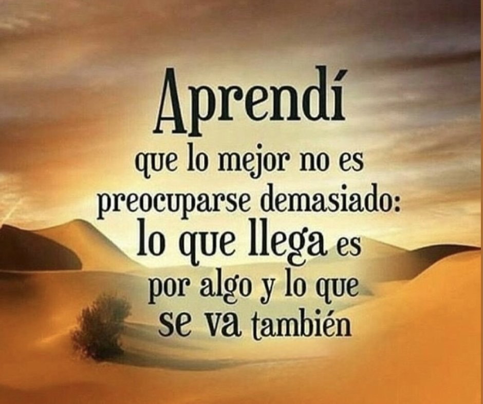 nena serrano murillo tweet media