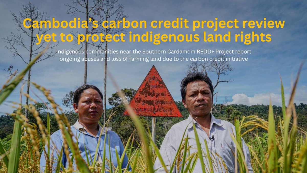 Mekong Eye (@mekongeye) on Twitter photo #CAMBODIA -🌳Despite undergoing a review process, the Southern Cardamom REDD+ Project continues to threaten Indigenous livelihoods with land restrictions and arrests, leaving land disputes unresolved. By Seoung Nimol & Coby Hobbs <a href="/cambojanews/">CamboJA News</a>
👉mekongeye.com/2025/03/24/cam… #CAMBODIA -🌳Despite undergoing a review process, the Southern Cardamom REDD+ Project continues to threaten Indigenous livelihoods with land restrictions and arrests, leaving land disputes unresolved. By Seoung Nimol & Coby Hobbs <a href="/cambojanews/">CamboJA News</a>
👉mekongeye.com/2025/03/24/cam…