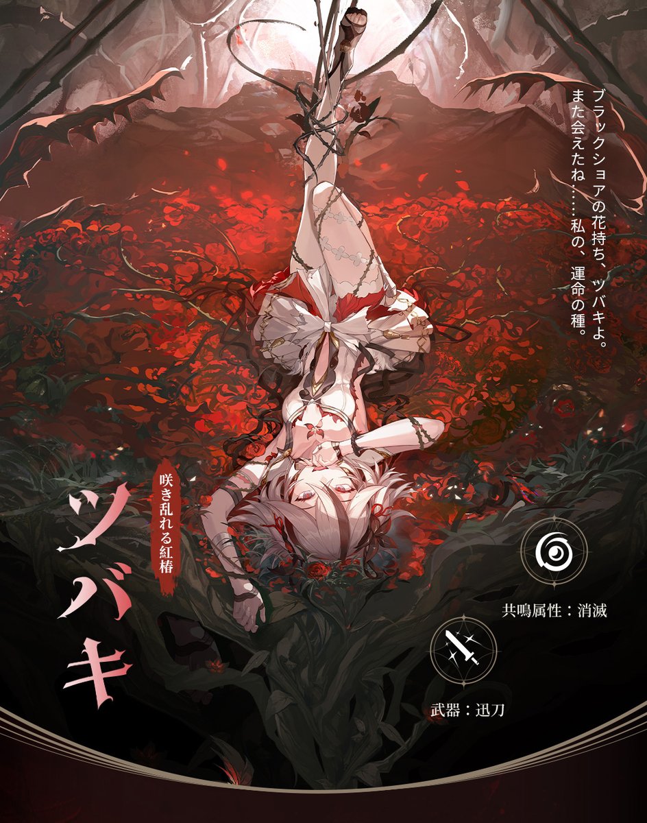アーカイブ回顧｜咲き乱れる紅椿——ツバキ 【無限へ誘うラビリンス