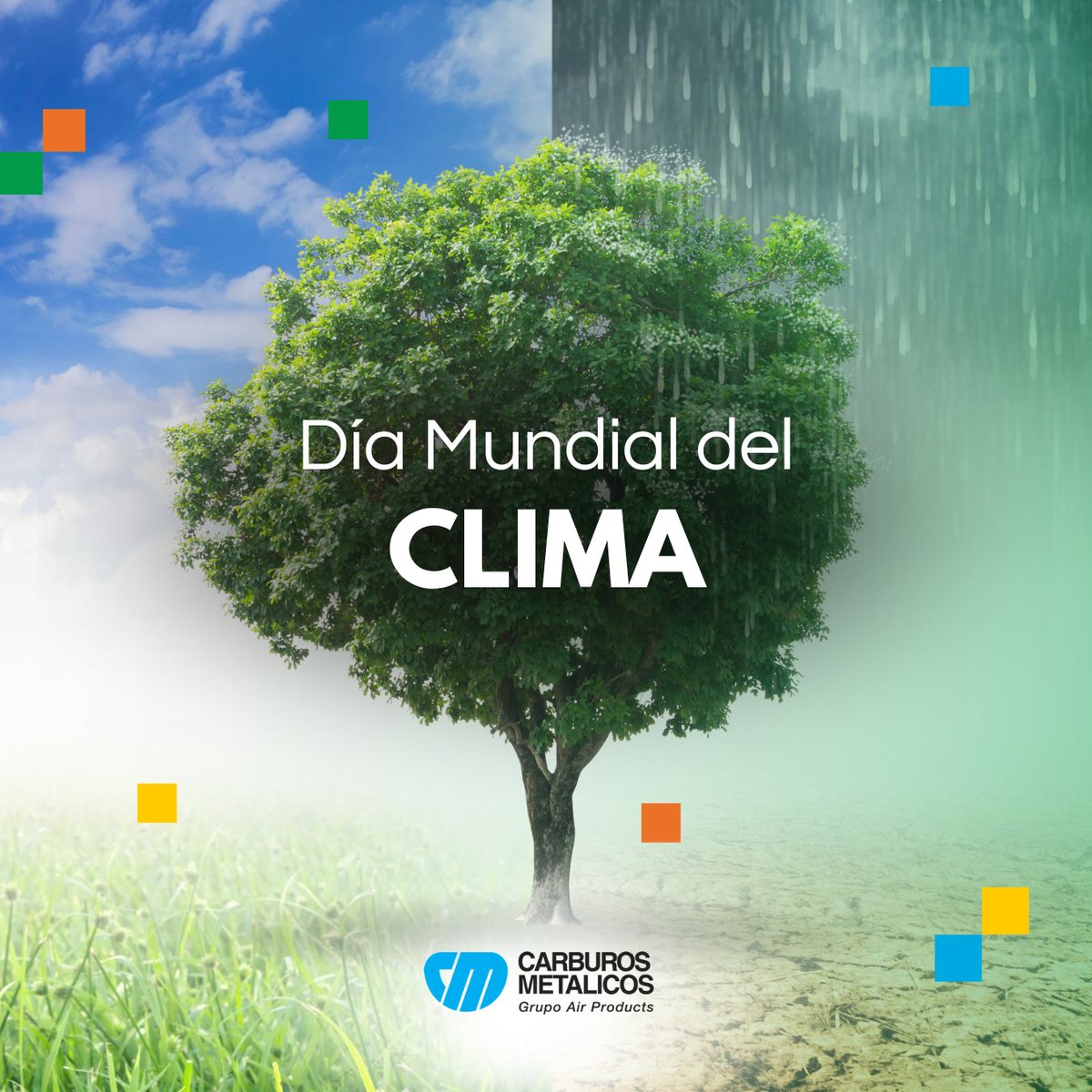 En el #DíaMundialDelClima, es esencial reflexionar sobre la urgencia de actuar para preservar nuestro #Planeta. 🌍

Hoy, más que nunca, renovamos nuestro compromiso con la #sostenibilidad: ➡️ carburos.com/company/sustai… 

#GeneratingaCleanerFuture 💚