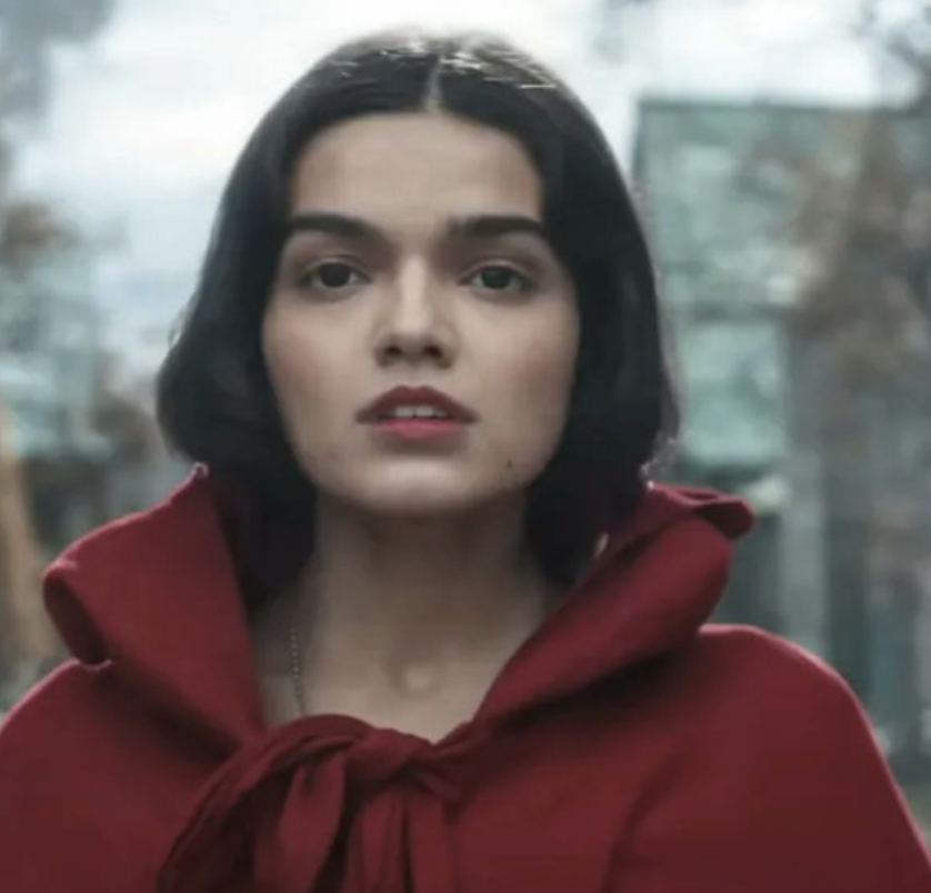 Animal Welfare 24/7 tweet media