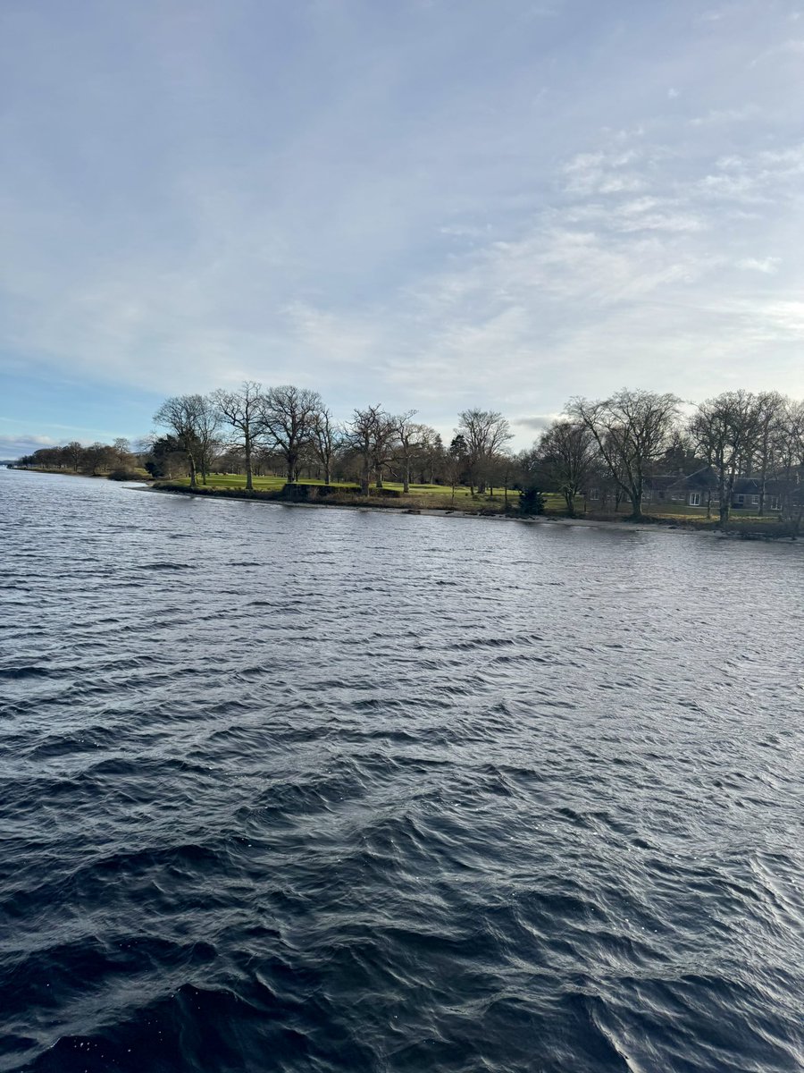 David Shepherd tweet media