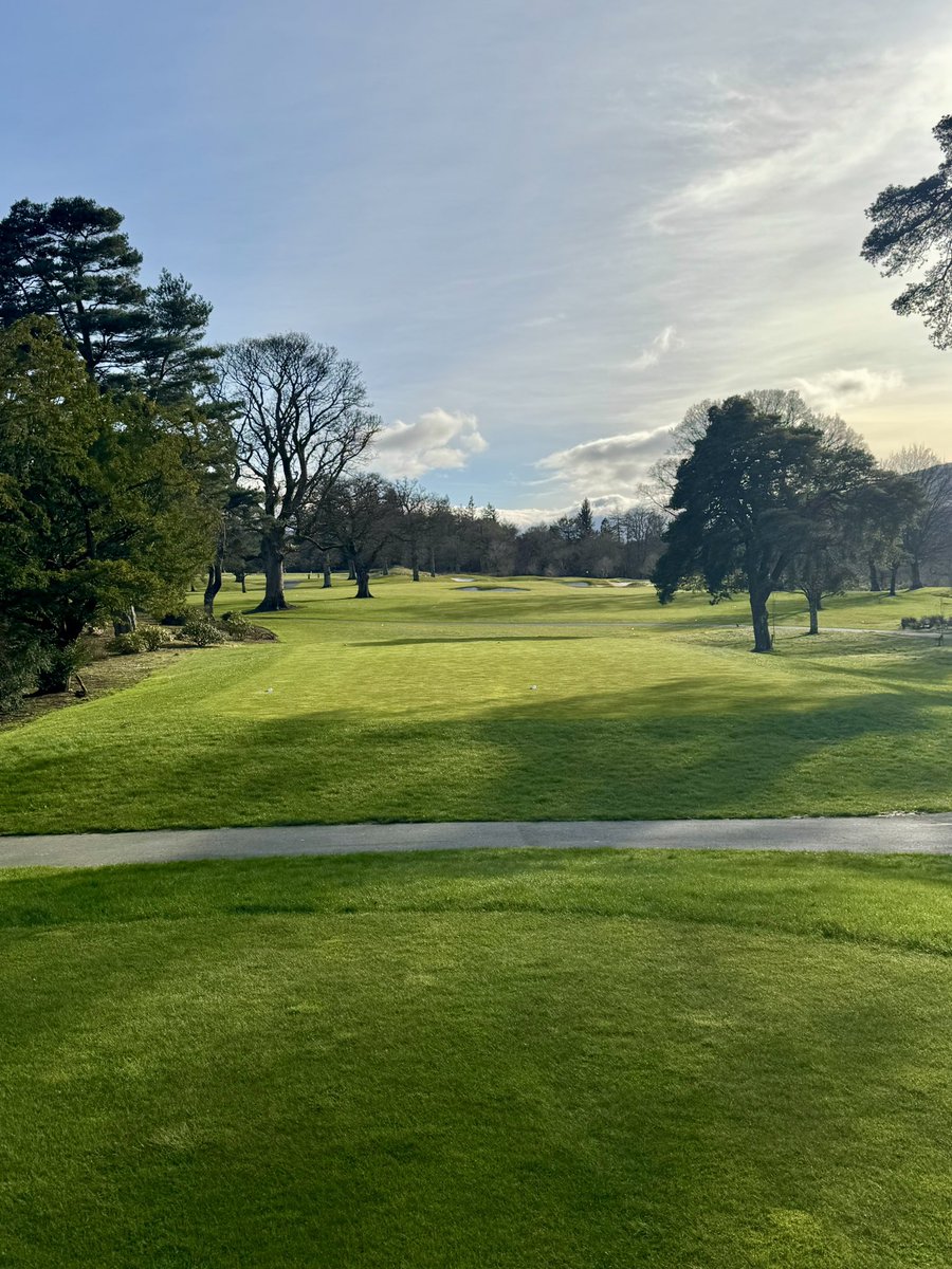 David Shepherd tweet media