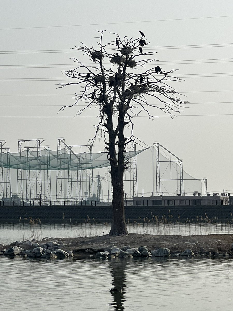 たぶん一般の人から見る都会の億越えのタワマンってこう見えてるんだと思う、、全然違うんだけどね。多分