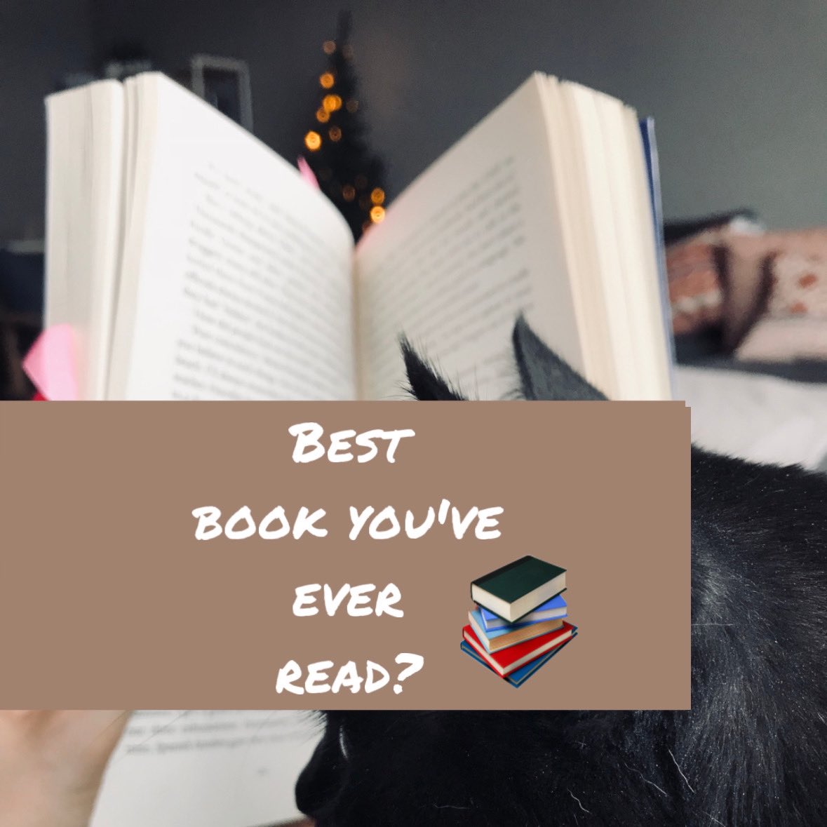 What’s the best book you’ve EVER read? 

#books #booktok #Writer #WriterCommunity  #readers #reading #Readerquestion #WritingCommunity #writerlife #Reading #readinglife #read