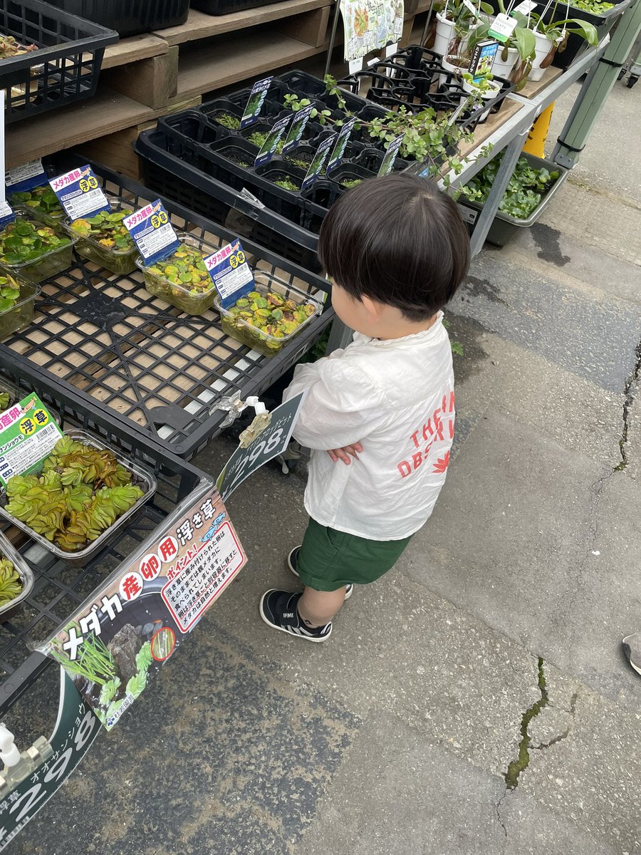 poppo2204's tweet photo. これは「触らないで見ようね」と言われて一生懸命触らないように手を閉まって見ている2歳児です。 https://t.co/kEWZWi26gP