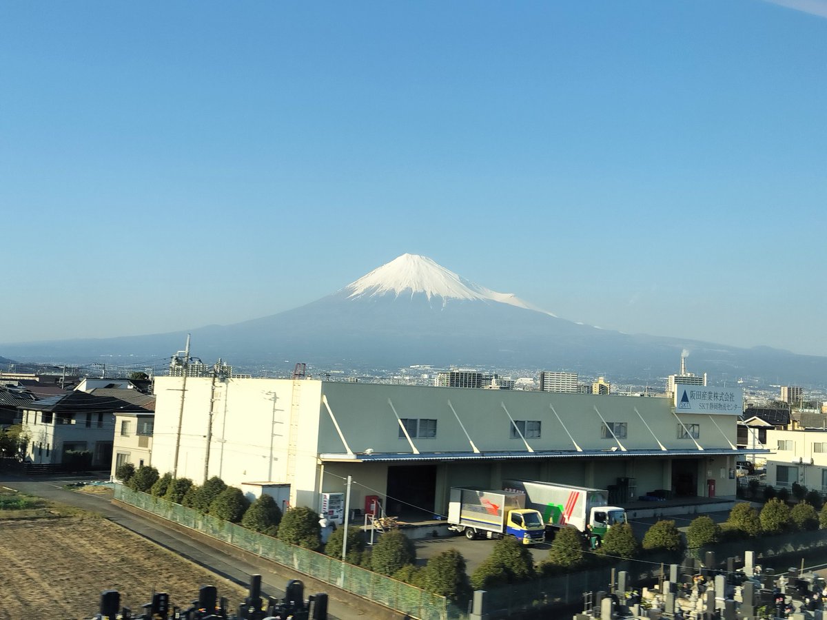 24日に行った靖国神社の桜と、行きの新幹線から見た富士山をお裾分け🌸🗻

桜の木、すごい人集りとテレビカメラまで来てたから、きっと靖国神社の桜第一号なのではと思っている☺️💕