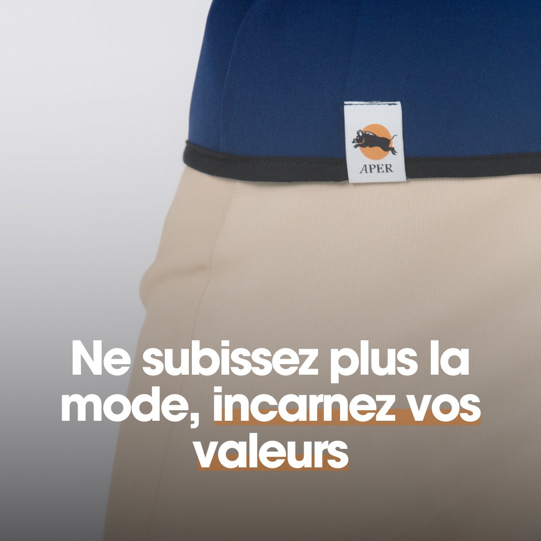 APER-Mode tweet media