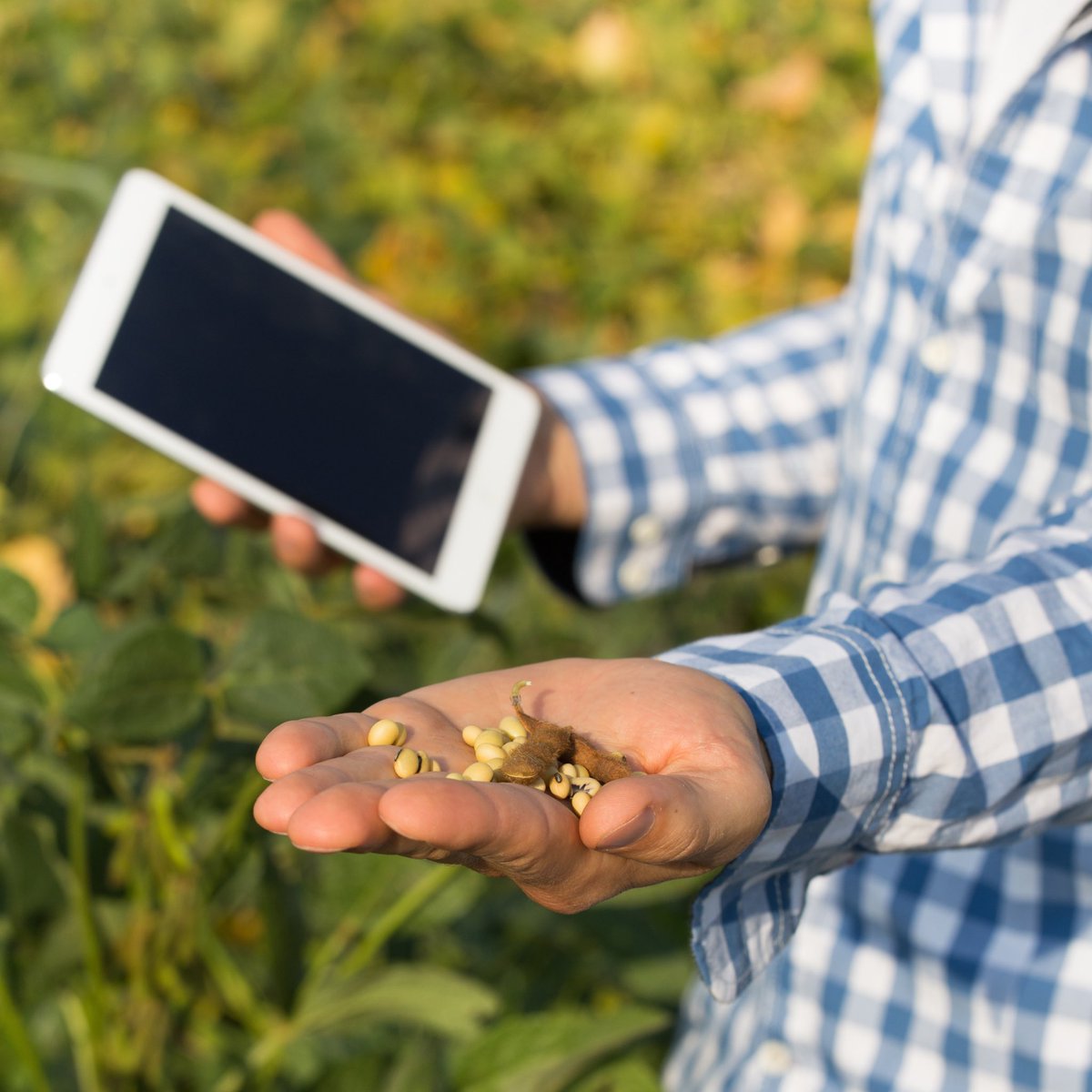 AEDIT srl tweet media