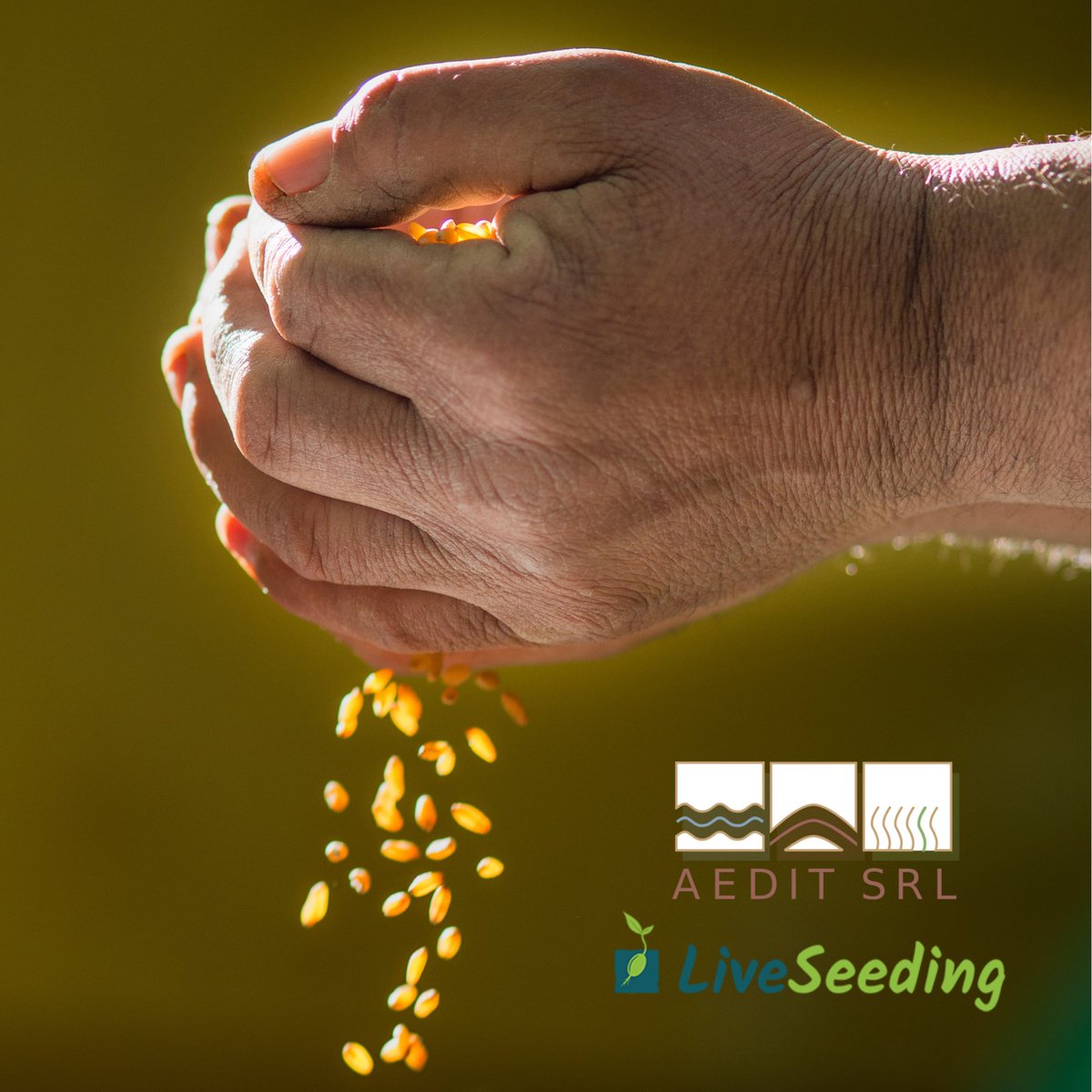 AEDIT srl tweet media