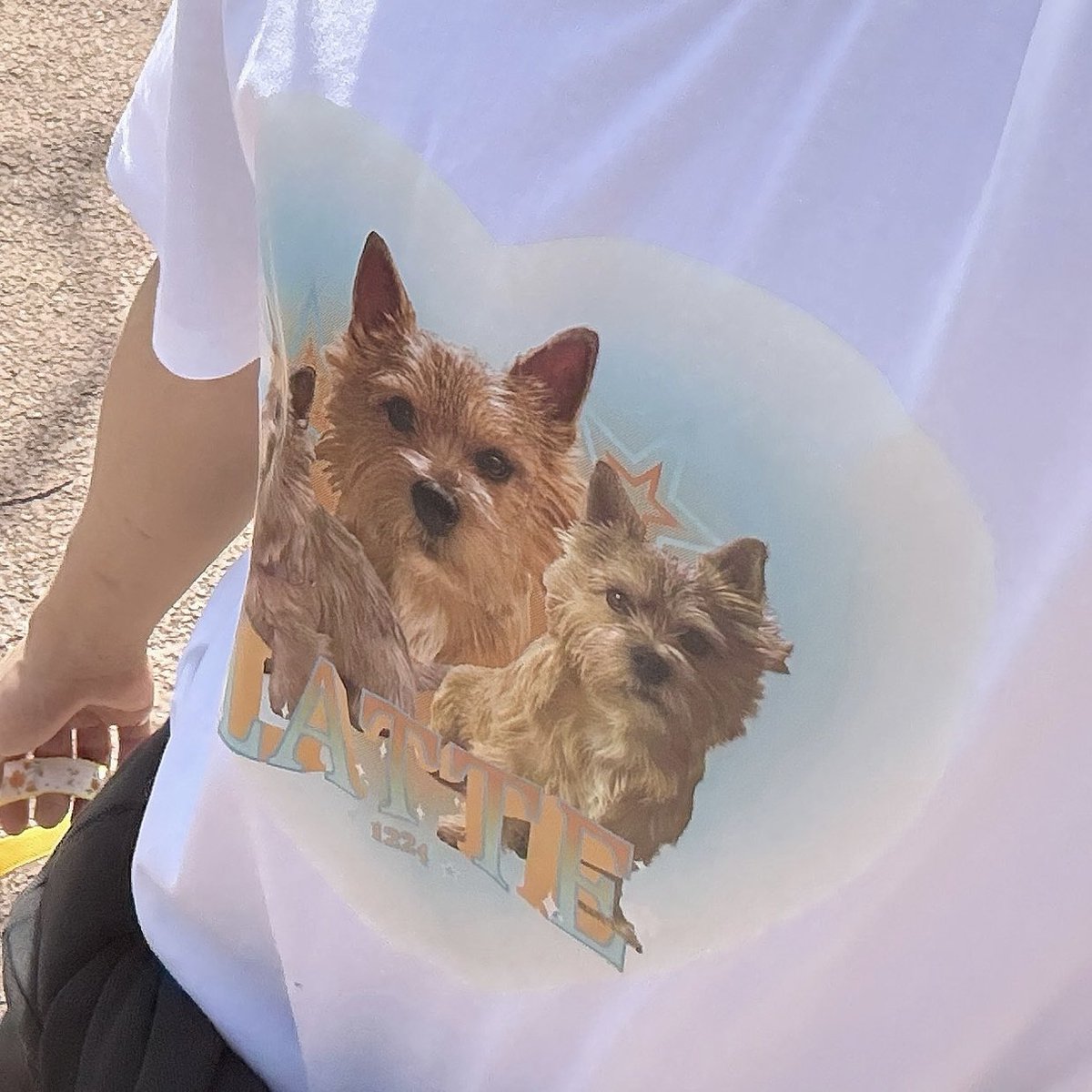 Shingetsuka's tweet photo. 愛犬のTシャツまで作る自主制作ドルの極み ホシ https://t.co/viQR3Ak2H3