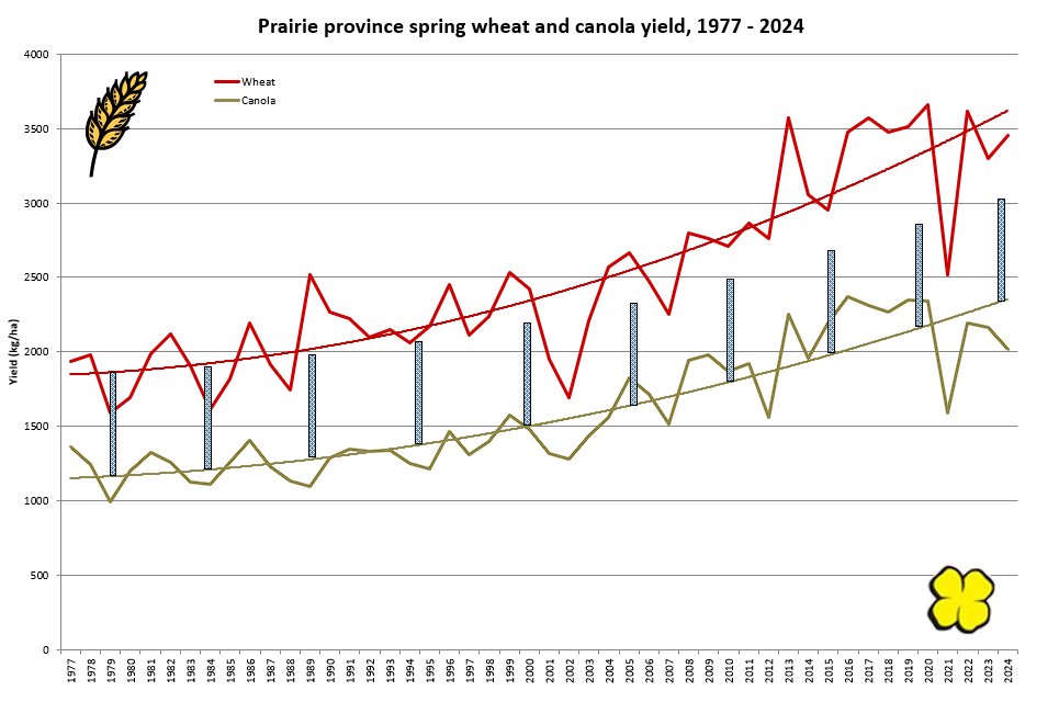 For those who are interested, the average canola-wheat yield difference has been widening in favour of wheat for quite some time.