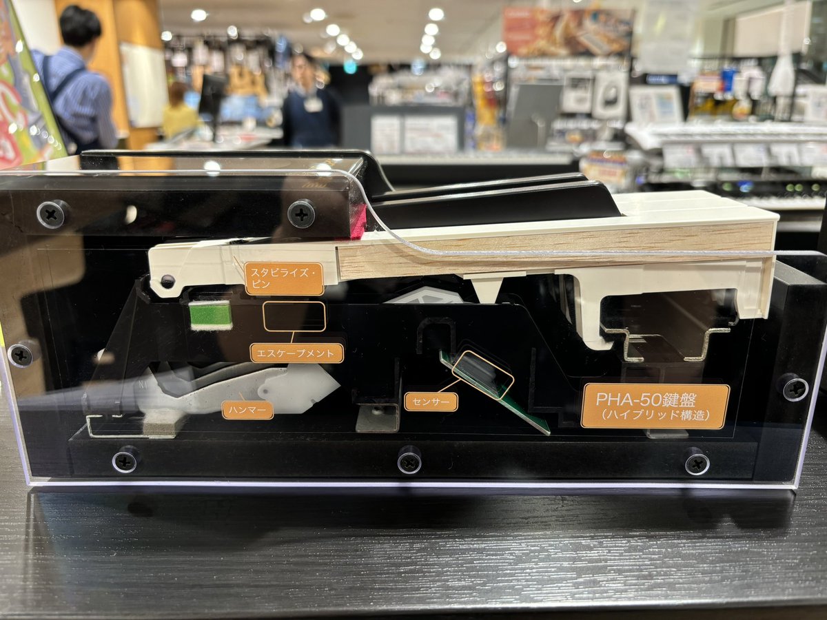 みなさま電子ピアノ鍵盤の違いはご存じですか？ こちらはRolandのLX5GP