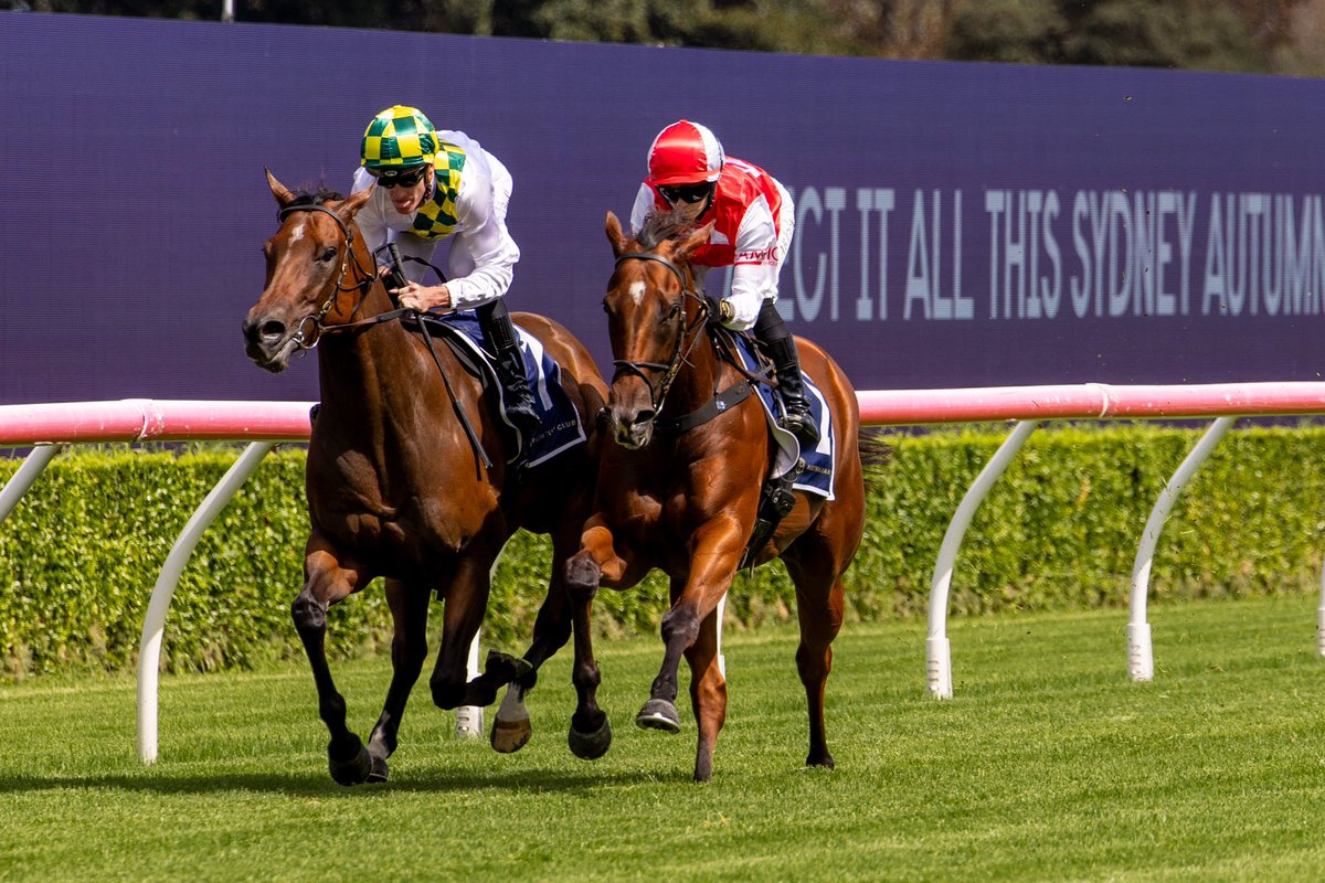 Champion T'breds (@championtbreds) on Twitter photo Lilac (Justify x Paulownia) stretched her legs in an exhibition gallop with Sunshine In Paris on the Kensington track this afternoon. We’re looking forward to seeing her back in action during The Championships 🤩 <a href="/ANeashamRacing/">Annabel Neasham and Rob Archibald Racing</a> Lilac (Justify x Paulownia) stretched her legs in an exhibition gallop with Sunshine In Paris on the Kensington track this afternoon. We’re looking forward to seeing her back in action during The Championships 🤩 <a href="/ANeashamRacing/">Annabel Neasham and Rob Archibald Racing</a>