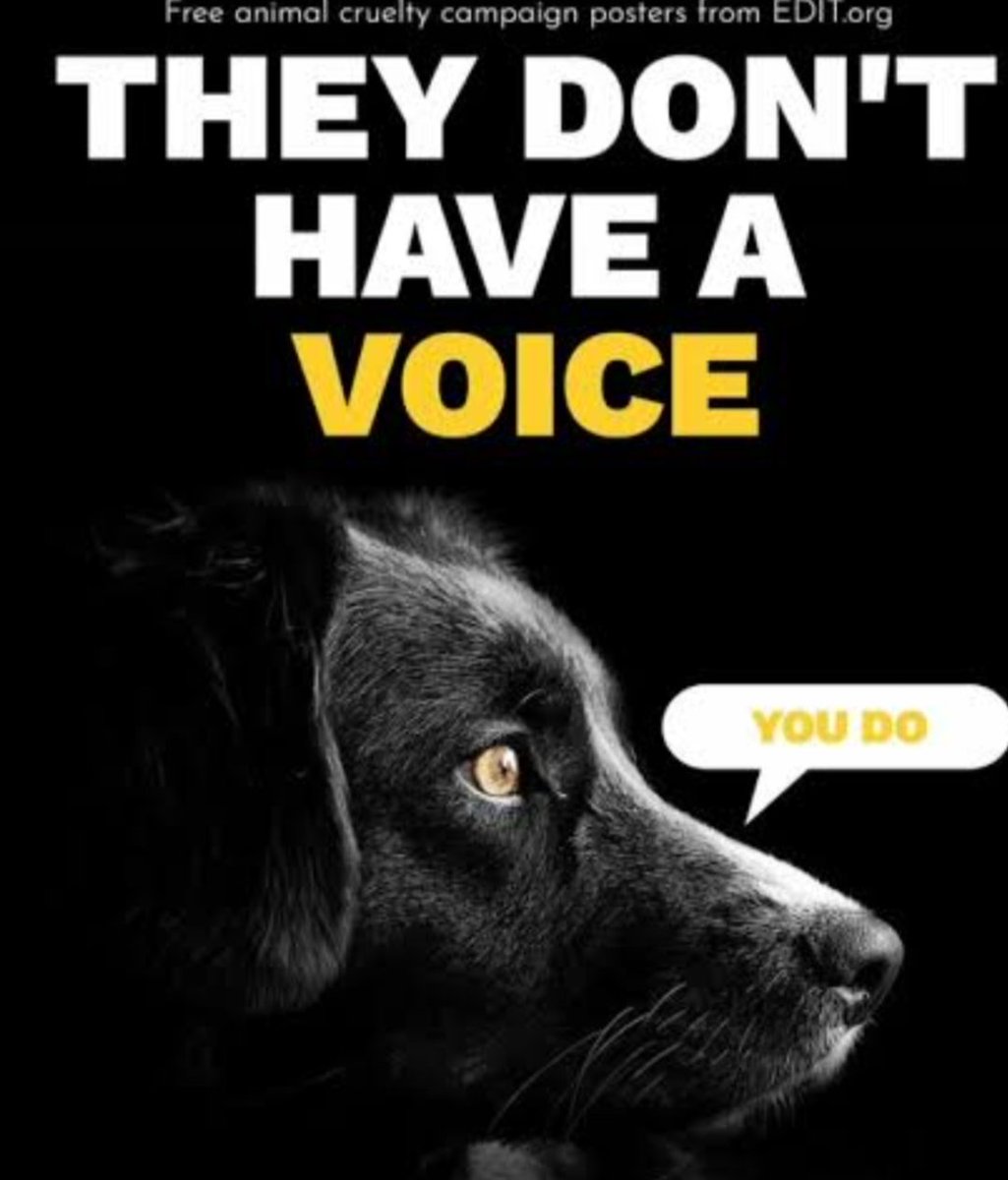 To,
The Hon’ble Chief Justice of India
Supreme Court of India
Tilak Marg, New Delhi – 110001

Subject: Urgent Intervention Required to Address Rising Cases of Animal Cruelty and Police Apathy

Respected Chief Justice,

I am writing this letter to seek your urgent intervention in