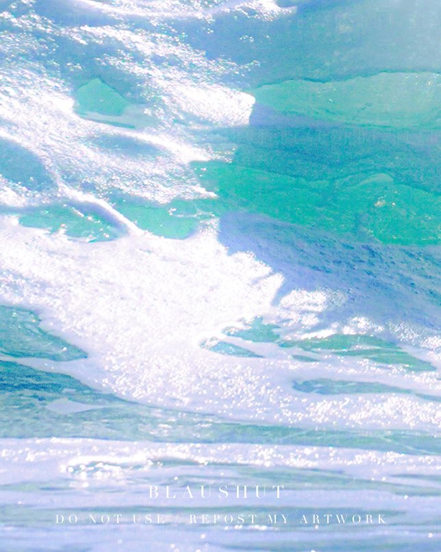 포말 속의 사랑