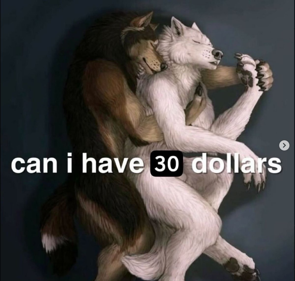 🕐HOURLY🕑 shitpost tweet media