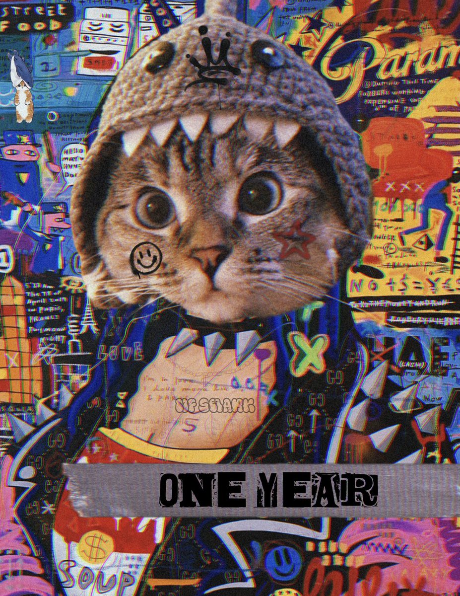 SharkCatSolana's tweet image. one year of the mf shark 🦈🐱❤️‍🔥