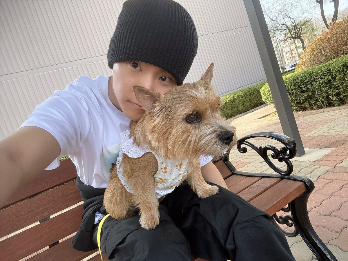 cheekshii's tweet image. ♡🐶