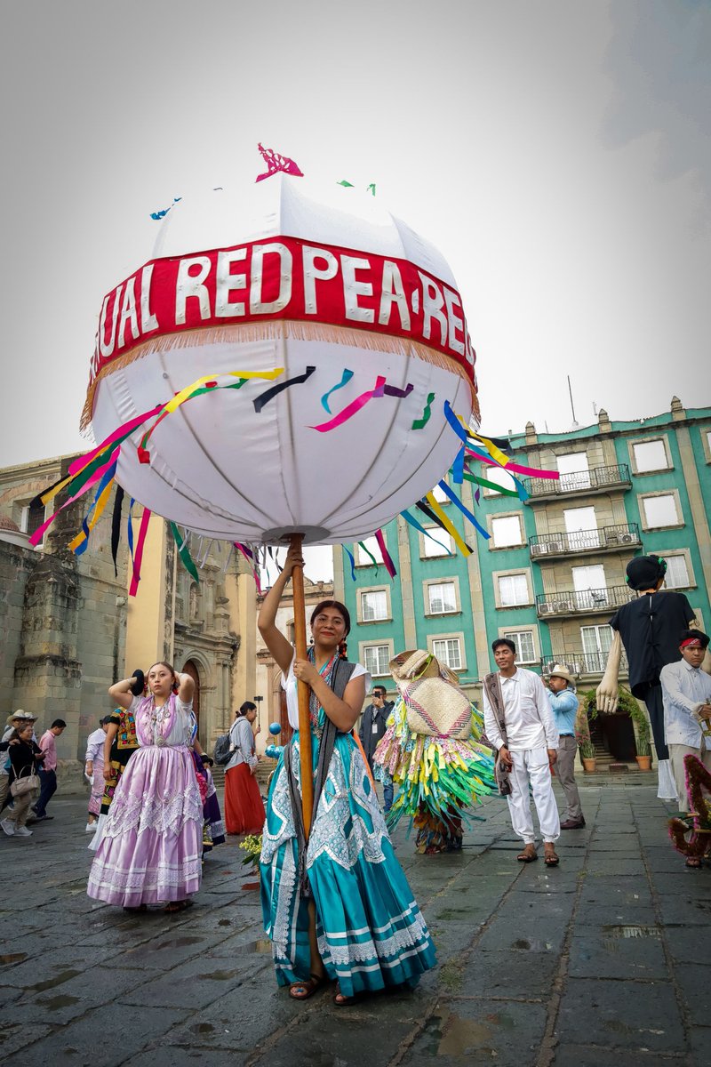 IEEPOGobOax's tweet photo. La magia de Oaxaca se hizo presente en la Reunión Nacional Anual de la #RedPEA de la @UNESCO_es. Entre música, color y alegría, asistentes disfrutaron de una calenda en el corazón de la ciudad. ¡Nuestra riqueza cultural, une y celebra la educación!
@EMILIOMONTEROP https://t.co/pjNeJKR5eQ