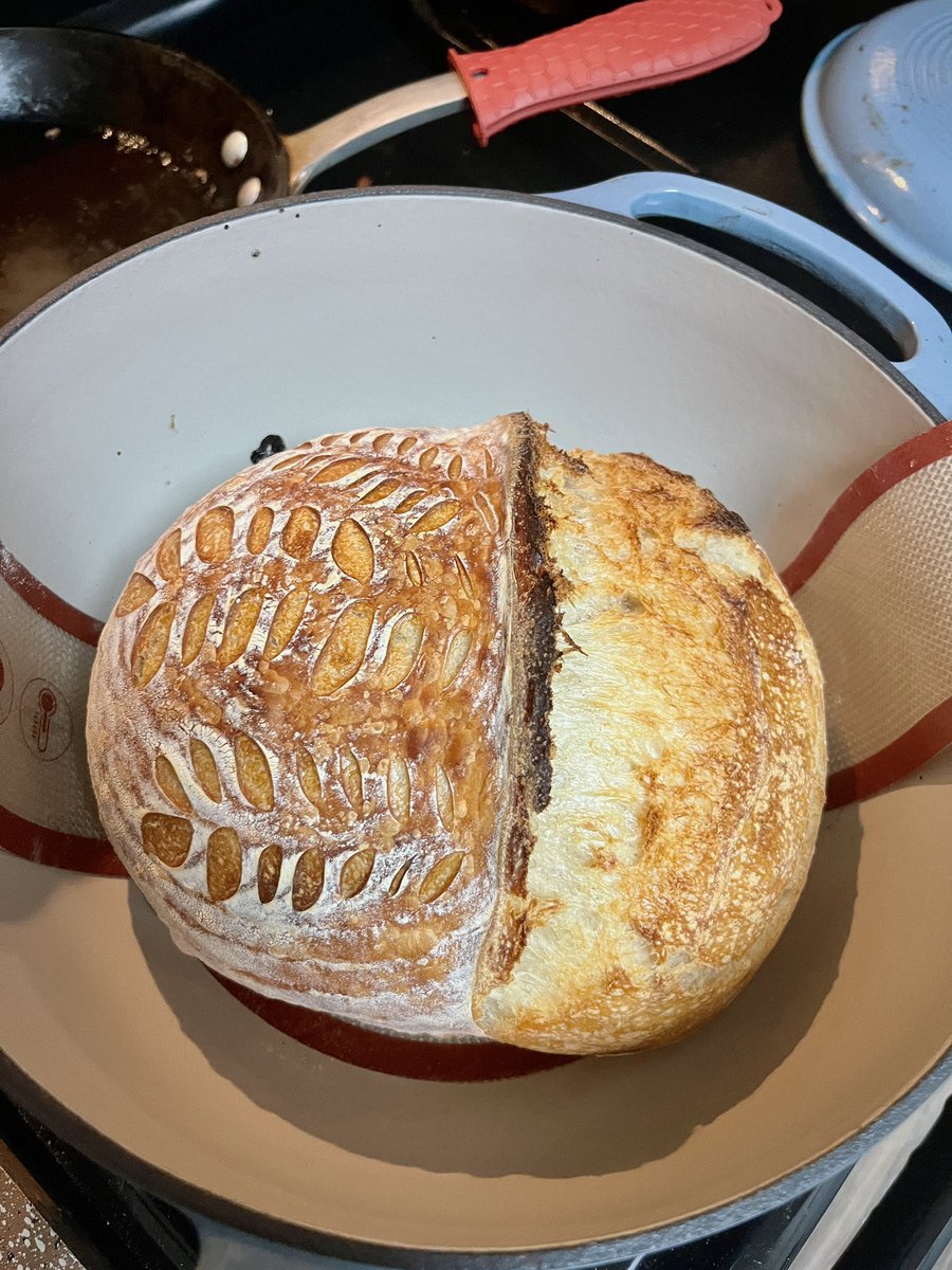 neeleyvassar's tweet photo. spring bitch https://t.co/3Jjz7JO7TV
