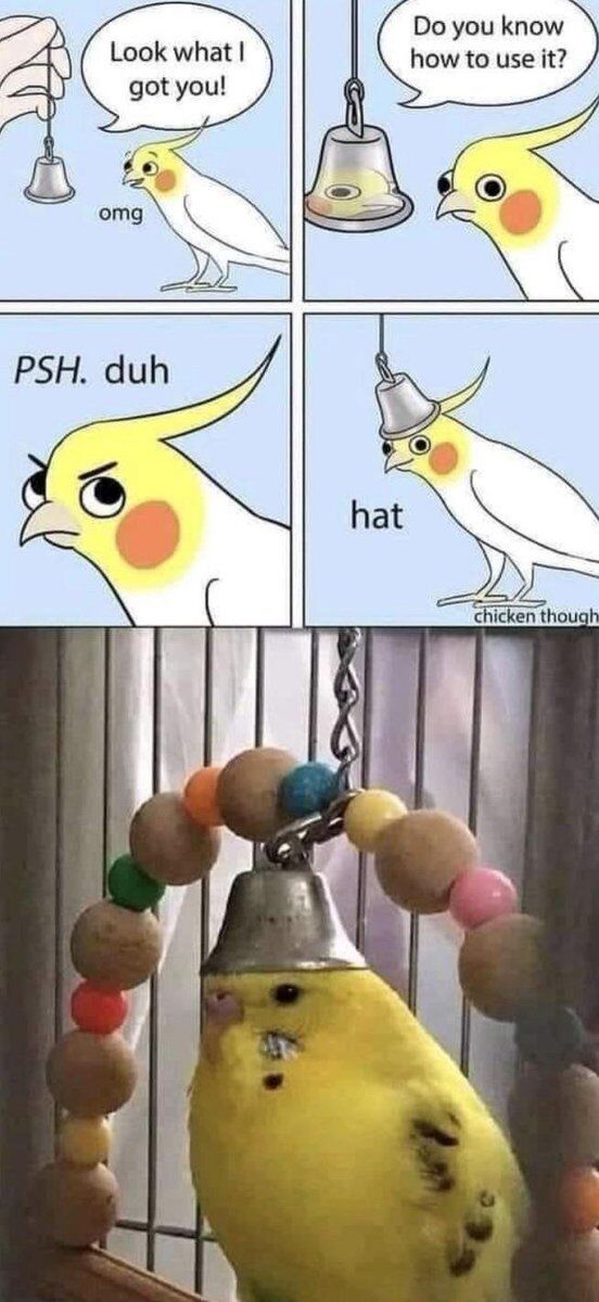 WholesomeMeme's tweet image. 