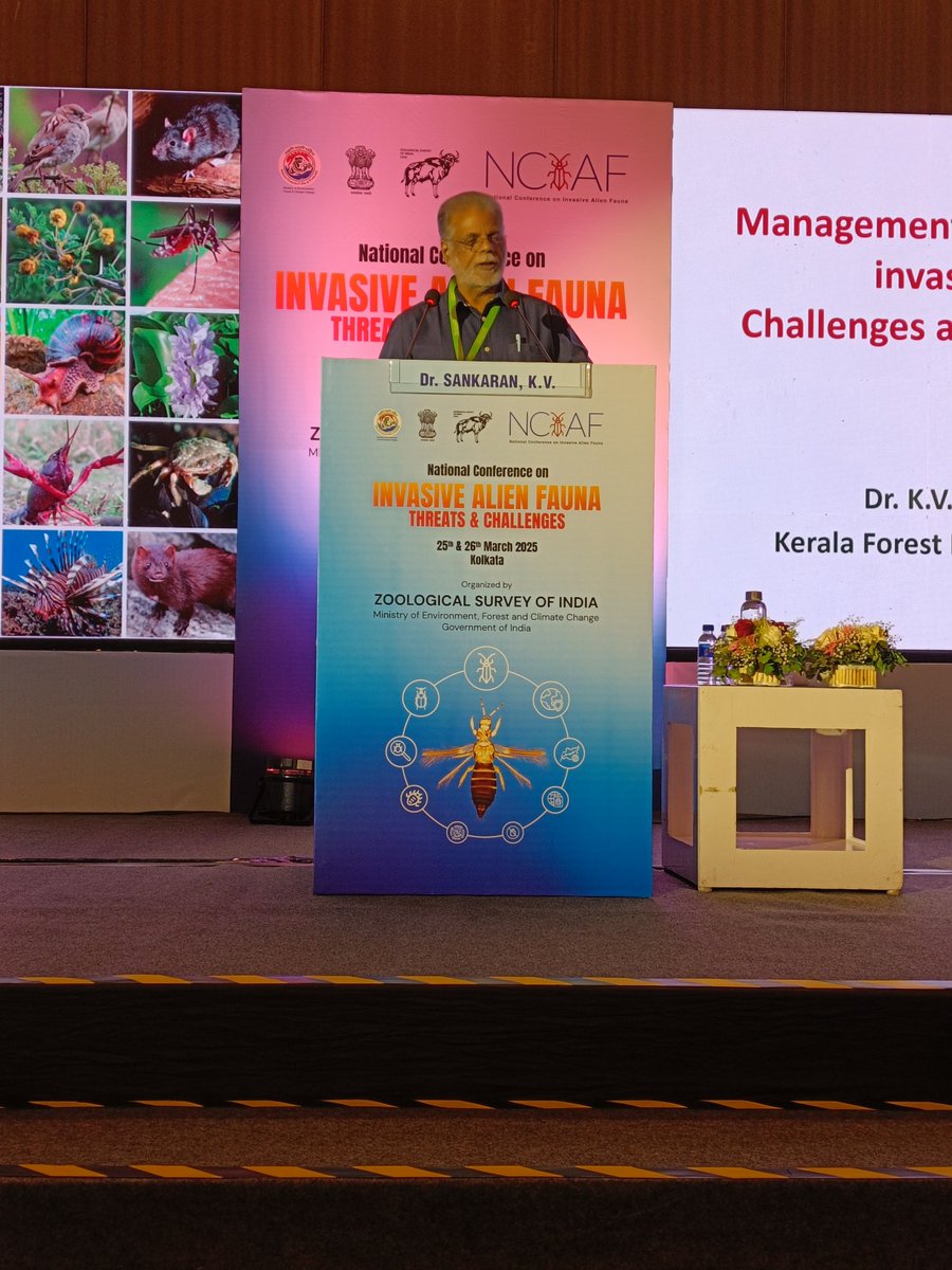 LabRajeev's tweet image. Day 2 of #NCIAF #Alien #invasive fauna @ZoologicalI @moefcc kicks off with K V Sankaran #IPBES @kscste_kfri sharing his decades of experience in management of alien species invasions