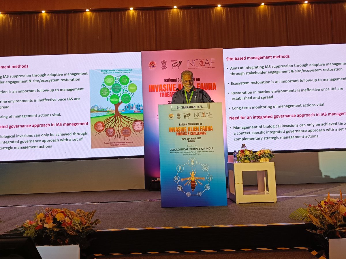 LabRajeev's tweet image. Day 2 of #NCIAF #Alien #invasive fauna @ZoologicalI @moefcc kicks off with K V Sankaran #IPBES @kscste_kfri sharing his decades of experience in management of alien species invasions