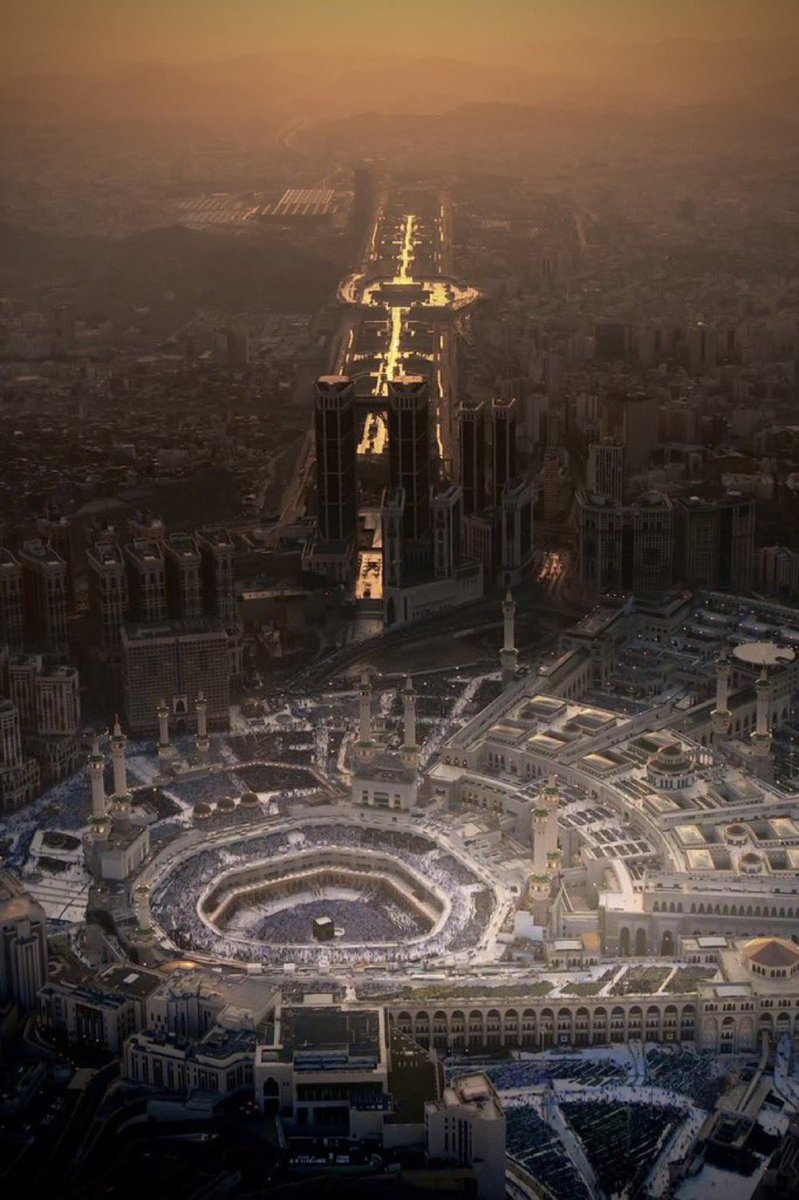 آبـو الـبراء💛 tweet media