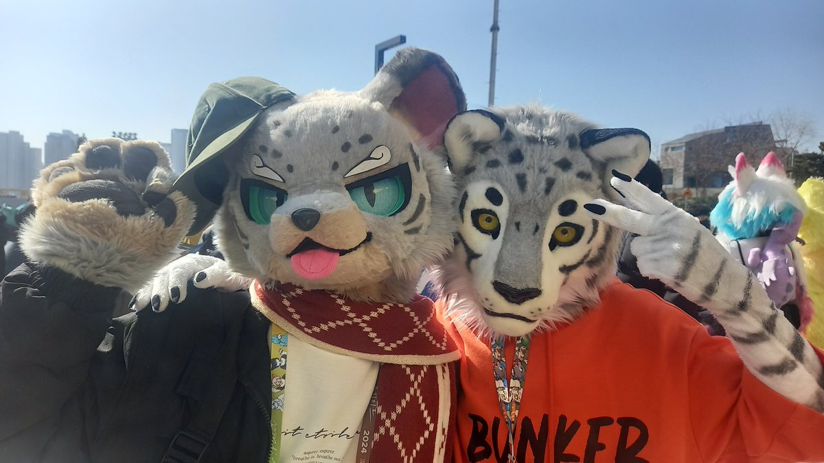 #FursuitEveryday 
어흥이 설표 서향서향 야옹이 설표 설호~