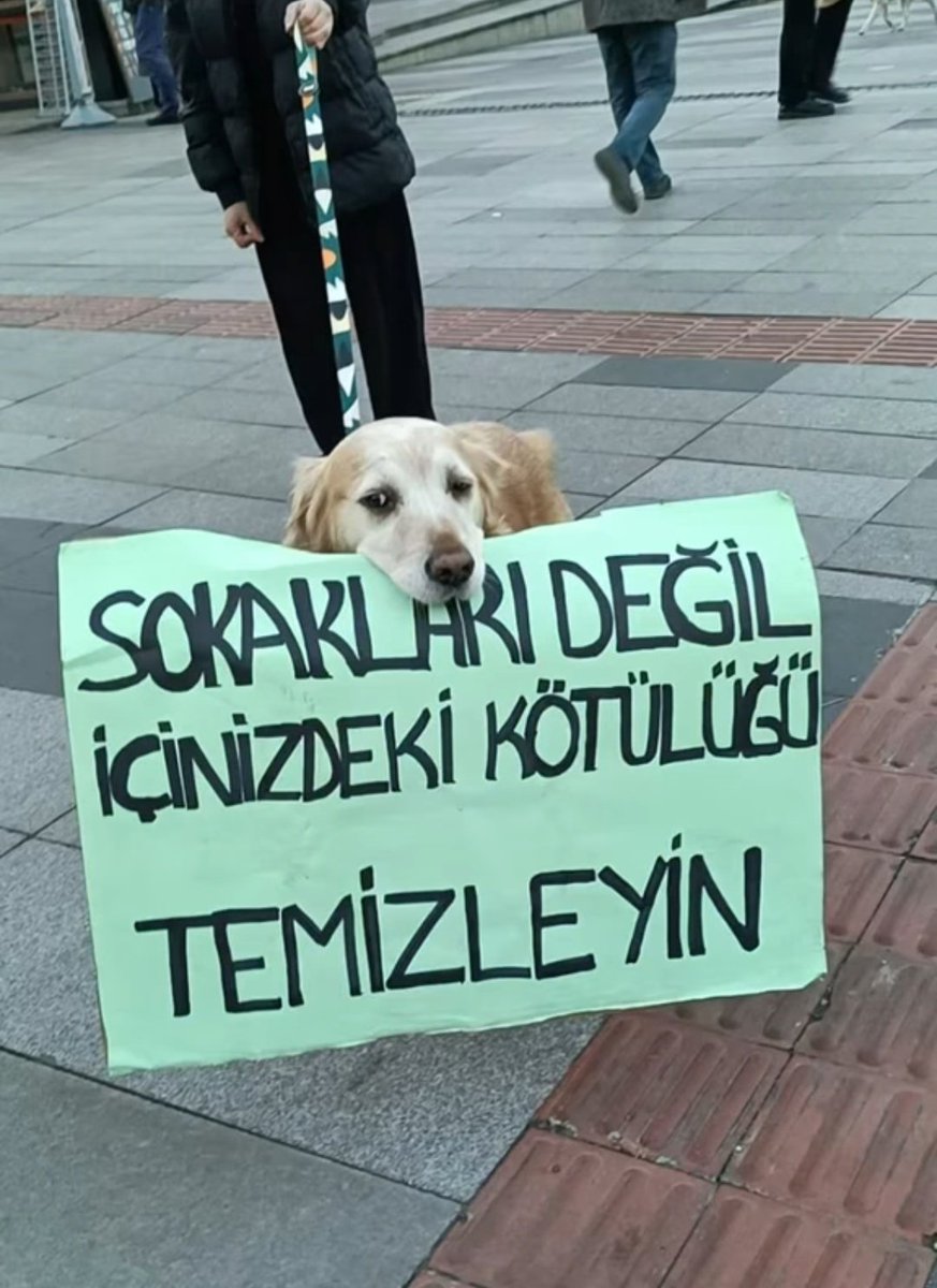 anlikmod's tweet photo. https://t.co/FVyOORtaaW