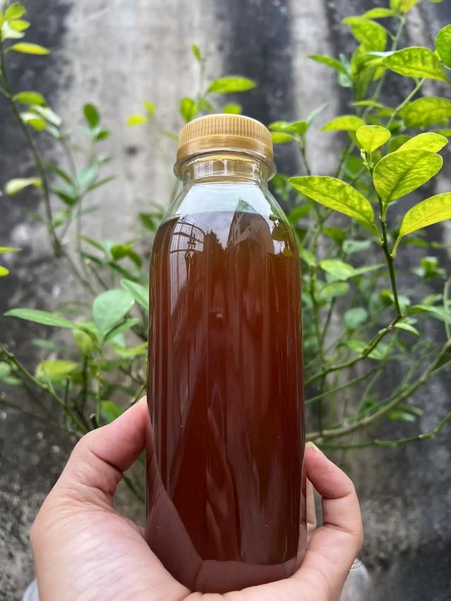 HainanToday's tweet image. The untouched forests of #Qiongzhong, #Hainan are a paradise for pure, high-quality #nectar! With a mild climate, plenty of rain, and fertile soil, this region produces some of the finest, pollution-free honey you can find. No wonder the brand growth rate of Qiongzhong nectar has