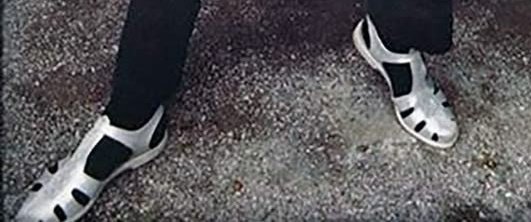 シリカ/Silica🌻🫀 tweet media