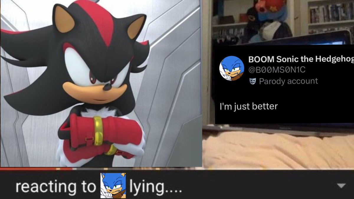 Shadow The Hedgehog (BOOM) (@xxeternaldarkxx) on Twitter photo 