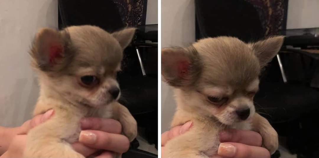 El otro día que tuve que levantarme muy muy temprano quedé impactada al ver que existe la vida taaaan temprano y luego personas con taaaaanta energía desde temprano. Y yo así de amix, solo estoy sobreviviendo, no me hables tanto ni tan fuerte.